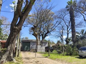 https://web5.gallito.com.uy/terreno-con-mejoras-en-solymar-sur-inmuebles-27976320