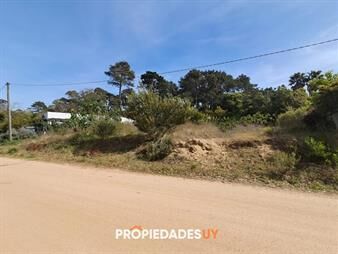 https://web5.gallito.com.uy/terreno-en-venta-rincon-del-indio-inmuebles-27786820