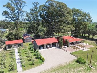 https://web5.gallito.com.uy/barrio-don-miguel-la-barra-inmuebles-25418132