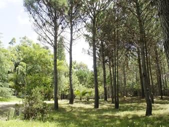 https://web5.gallito.com.uy/venta-de-lote-de-10-hectareas-sobre-ruta10-cerca-de-valizas-inmuebles-27745742
