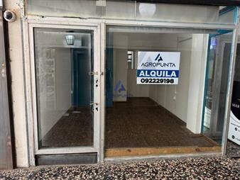 https://web5.gallito.com.uy/alquiler-de-local-en-punta-del-este-gorlero-inmuebles-27941119