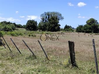 https://web5.gallito.com.uy/campo-en-rocha-inmuebles-27994318