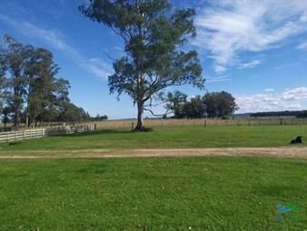 https://web5.gallito.com.uy/campo-arrocero-ganadero-1636-has-sobre-ruta-inmuebles-24097913