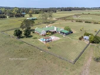 https://web5.gallito.com.uy/chacra-en-punta-ballena-inmuebles-27642238