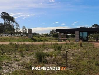 https://web5.gallito.com.uy/terreno-en-reserva-montoya-inmuebles-27976550