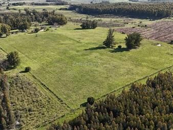 https://web5.gallito.com.uy/chacra-de10-ha-en-venta-en-soca-inmuebles-27994537