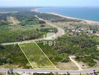 https://web5.gallito.com.uy/terreno-en-lomo-de-la-ballena-punta-ballena-inmuebles-27994018