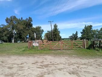 https://web5.gallito.com.uy/6-hectareas-sobre-ruta-11-ideal-para-e-inmuebles-27990281