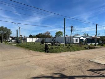 https://web5.gallito.com.uy/alquiler-terreno-en-la-paz-las-piedras-342-mts-inmuebles-27995077