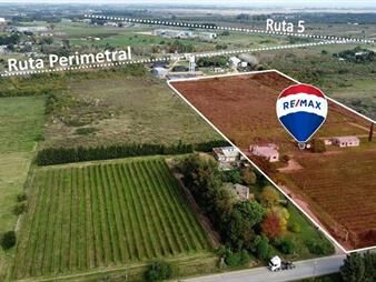 https://web5.gallito.com.uy/venta-terreno-chacra-27-has-melilla-inmuebles-27995147