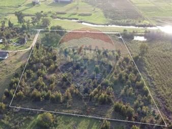 https://web5.gallito.com.uy/venta-de-campo-3-ha-en-ruta-8-km45-empalme-olmos-inmuebles-27995162