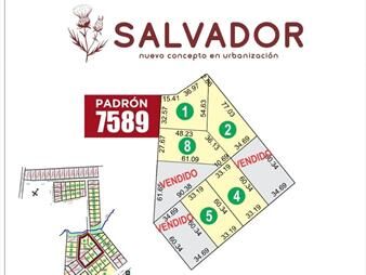 https://web5.gallito.com.uy/compra-tu-terreno-a-usd-195-m2-inmuebles-27995222
