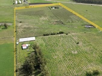 https://web5.gallito.com.uy/venta-campo-11-69-hectareas-proximo-a-san-jacinto-inmuebles-27995304