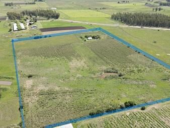 https://web5.gallito.com.uy/venta-campo-7-99-hectareas-proximo-a-san-jacinto-inmuebles-27995305