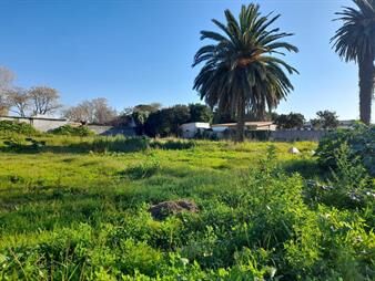 https://web5.gallito.com.uy/terreno-2242m2-venta-en-peñarol-ideal-inversores-inmuebles-27998775