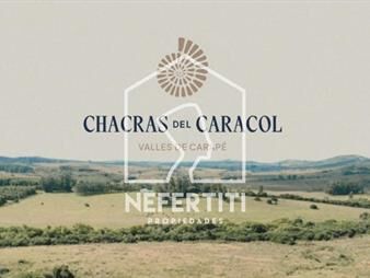 https://web5.gallito.com.uy/chacras-del-caracol-inmuebles-27999063
