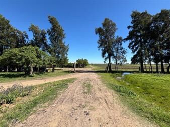https://web5.gallito.com.uy/chacra-en-colonia-18-de-julio-salto-inmuebles-27999594