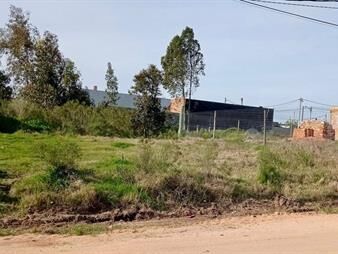 https://web5.gallito.com.uy/terreno-proximo-a-barrio-jardines-del-cortijo-inmuebles-28000104