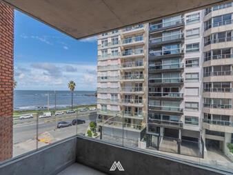https://www.gallito.com.uy/alquiler-monoambiente-crambla-punta-carretas-inmuebles-27119139