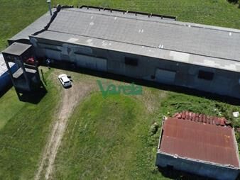 https://web5.gallito.com.uy/venta-gran-terreno-con-galpon-sobre-mendoza-ideal-inmuebles-27484905