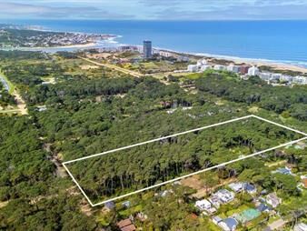 https://web5.gallito.com.uy/terreno-en-venta-en-rincon-del-indio-ideal-inmuebles-28005930
