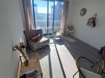 https://www.gallito.com.uy/alquiler-anual-1-dormitorio-en-punta-del-este-inmuebles-28005945