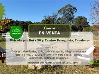 https://web5.gallito.com.uy/venta-de-chacra-en-el-colorado-inmuebles-28006158
