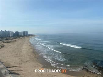 https://web5.gallito.com.uy/apartamento-en-punta-del-este-peninsula-inmuebles-28009890