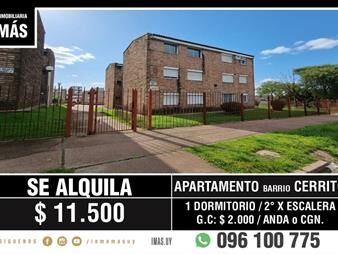 https://www.gallito.com.uy/apartamento-alquiler-cerrito-montevideo-imasuy-en-inmuebles-28010256