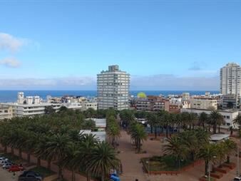 https://web5.gallito.com.uy/vende-apartamentos-de-1-dormitorio-y-medio-en-del-inmuebles-27739857
