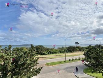 https://web5.gallito.com.uy/alquiler-temporal-apartamento-2-dormitorios-playa-mansa-inmuebles-27068415