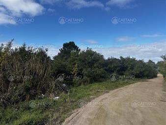 https://web5.gallito.com.uy/venta-terreno-las-grutas-punta-ballena-inmuebles-28021430
