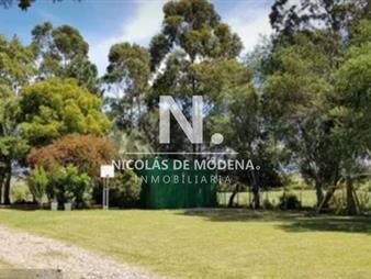 https://web5.gallito.com.uy/chacra-de-7-has-en-garzon-en-venta-inmuebles-28021474