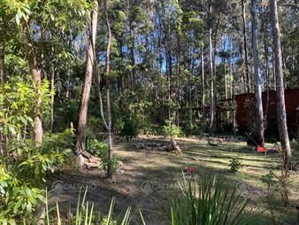 https://web5.gallito.com.uy/casa-en-venta-en-las-cumbres-inmuebles-28026961