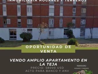 https://web5.gallito.com.uy/vendo-amplio-apartamento-en-la-teja-inmuebles-28027009