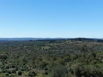 https://web5.gallito.com.uy/campo-en-venta-aigua-forestal-inmuebles-28027091