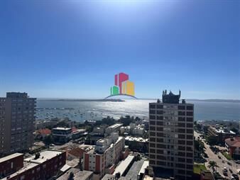 https://web5.gallito.com.uy/venta-de-apartamento-1-dormitorios-en-peninsula-inmuebles-28027528