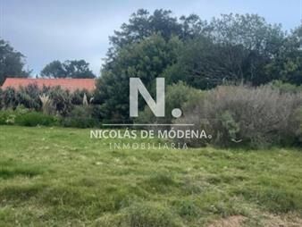 https://web5.gallito.com.uy/vende-terreno-en-manantiales-el-chorro-inmuebles-27144098