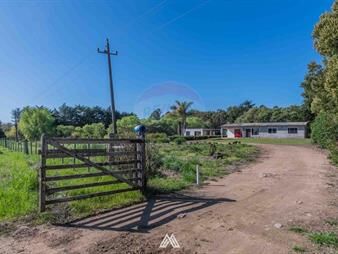 https://web5.gallito.com.uy/venta-de-campo-3-5ha-sobre-ruta-87-con-dos-casas-inmuebles-28031253