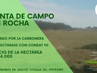 https://web5.gallito.com.uy/venta-de-campo-en-la-carbonera-rocha-inmuebles-28031363