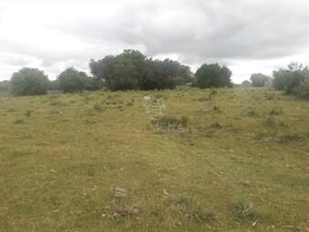 https://web5.gallito.com.uy/campo-en-san-carlos-inmuebles-28031608