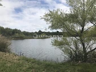 https://web5.gallito.com.uy/chacra-sobre-ruta-9-a-30-km-de-jose-ignacio-inmuebles-28031703