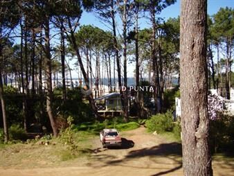 https://web5.gallito.com.uy/casa-en-montoya-3-dormitorios-inmuebles-28031786