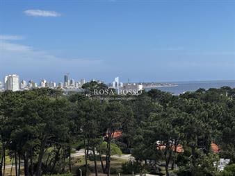 https://web5.gallito.com.uy/apartamento-venta-3-dormitorios-roosevelt-punta-inmuebles-27200610