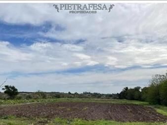 https://web5.gallito.com.uy/campo-en-venta-paso-de-la-arena-inmuebles-27007797