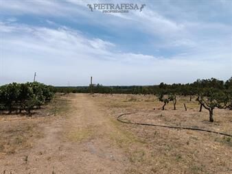 https://web5.gallito.com.uy/chacra-en-venta-cno-las-mulitas-melilla-inmuebles-23378259