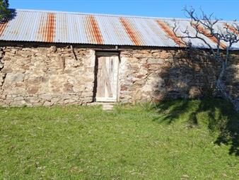 https://web5.gallito.com.uy/campo-en-rocha-hacia-ruta-15-inmuebles-27786872
