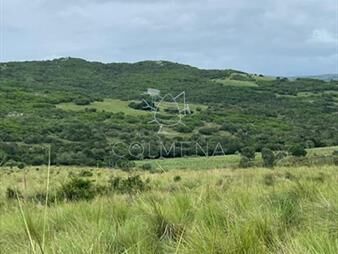 https://web5.gallito.com.uy/campo-en-paso-de-la-cantera-inmuebles-22909902