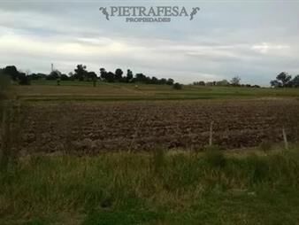 https://web5.gallito.com.uy/campo-en-venta-paso-de-la-arena-inmuebles-24713251