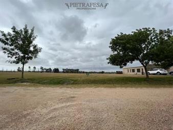 https://web5.gallito.com.uy/terreno-en-venta-colinas-de-carrasco-inmuebles-25831470